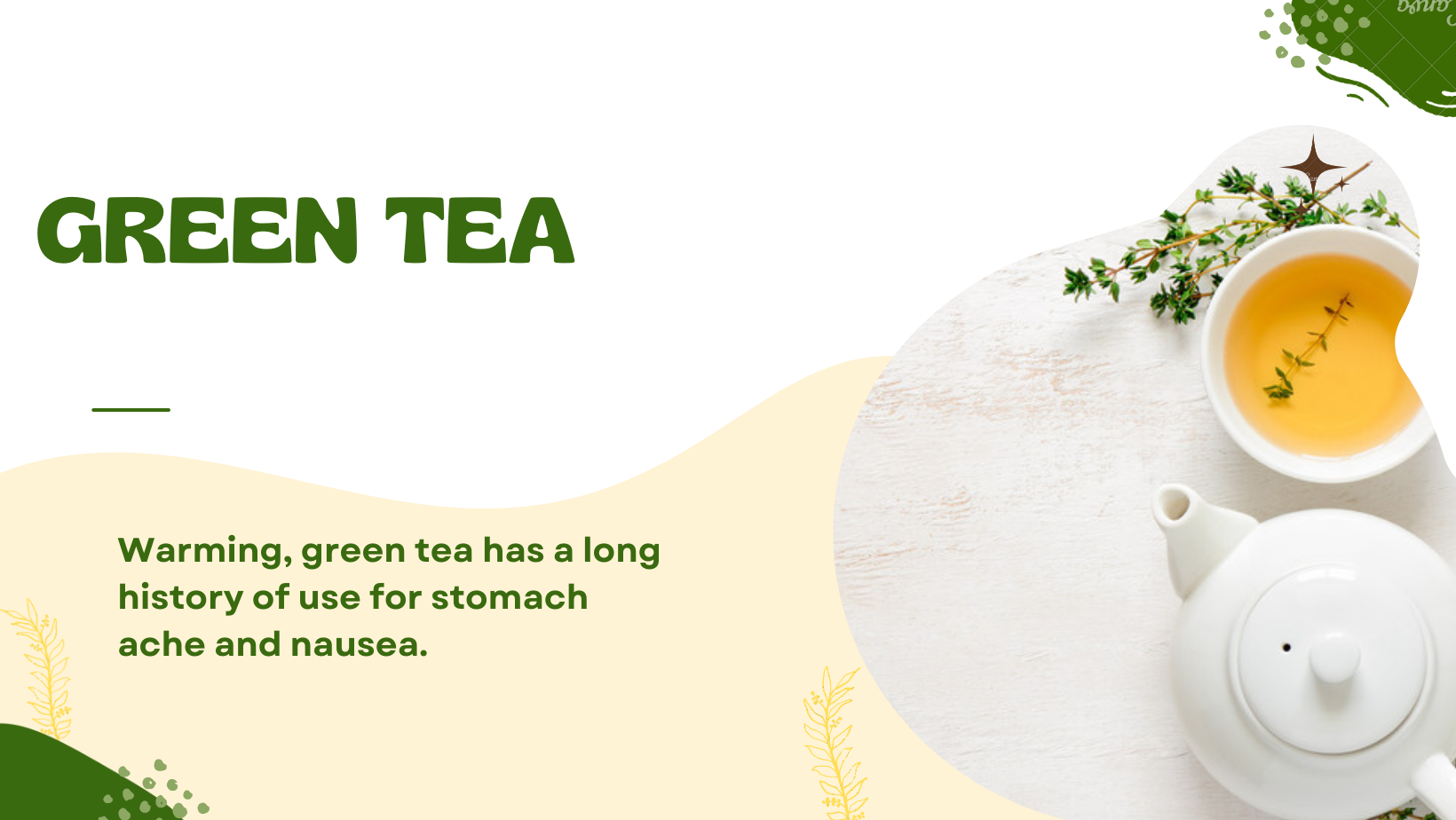 Sippin' on Green Tea Your Go-To Guide for a Healthy Lifestyle
